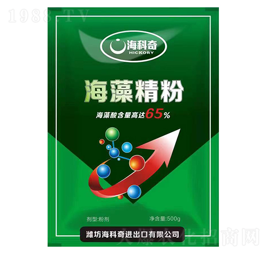 ���徫��-������