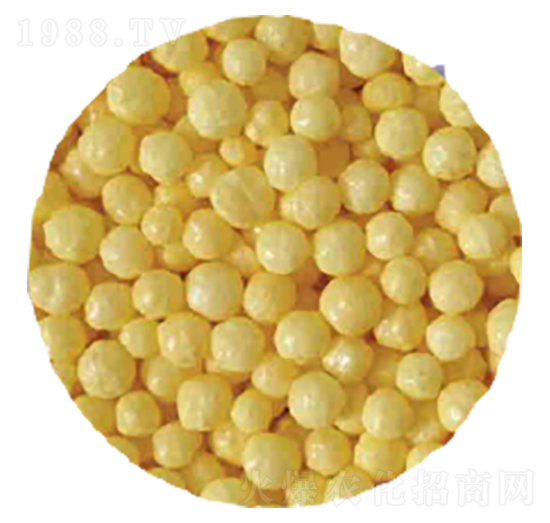 �ۺ������������-�r(n��ng)�����B(t��i)