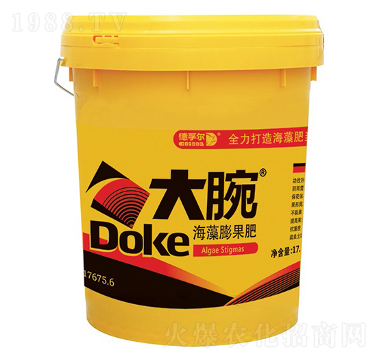 ���������-����-���ڠ�