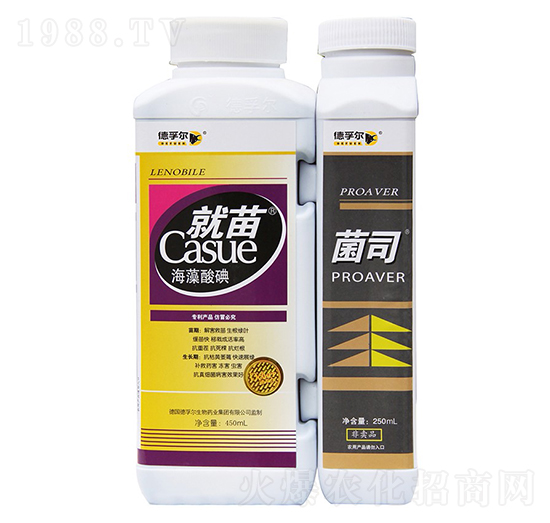 ����+��˾-���ڠ�