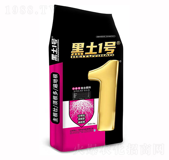 �����ԏ�(f��)�Ϸ���12-5-25-����1̖