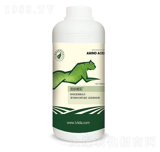 ���{(di��o)��(ji��)���״��M(j��n)��-���}ů�-�G���_(d��)