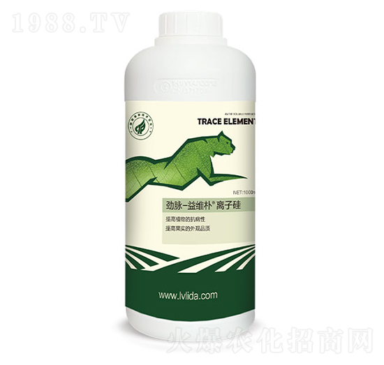 �x�ӹ�-���}��S��-�G���_(d��)