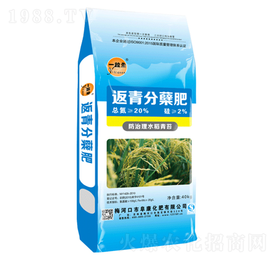 ������Y��-һ��ȫ-��������