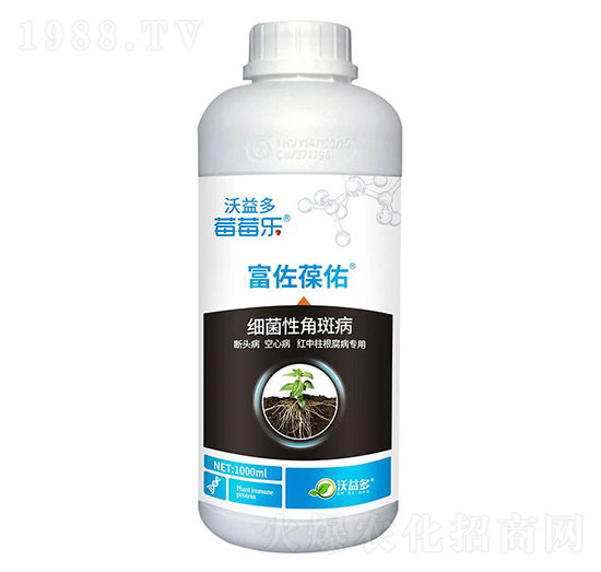 ��(x��)���Խǰ߲�-��������-ݮݮ��-�����