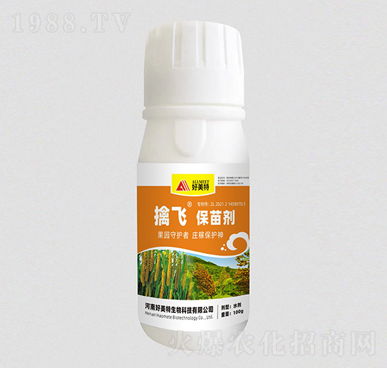 ���w���焩-������