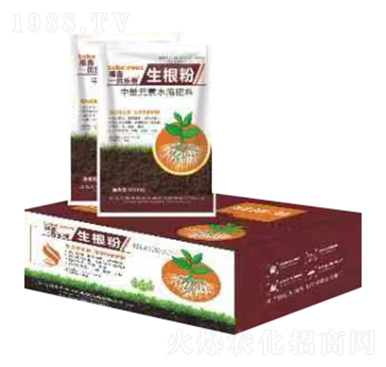 ������-���΃�(y��u)����-�����S