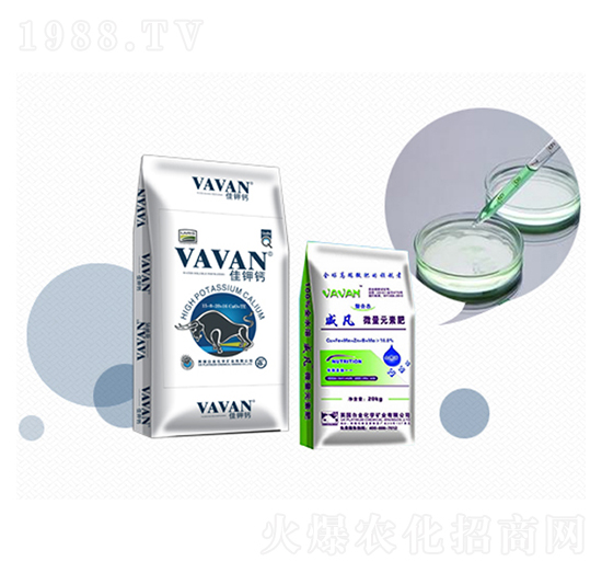 �طN����-�Kӯ(li��n)���B(t��i)