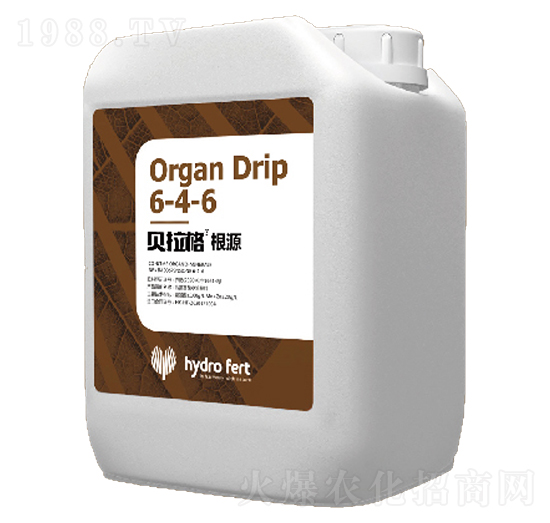 ؐ�����Դ6-4-6-�������