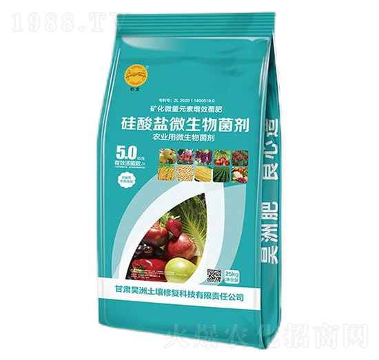 �����}΢�������-��������ޏ�