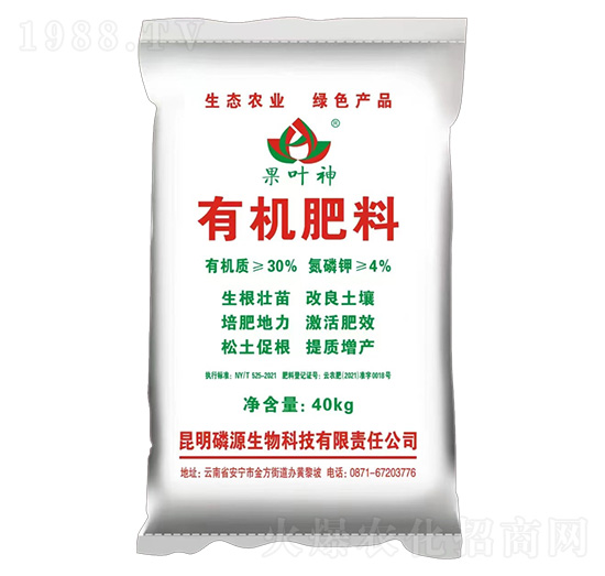 �ЙC(j��)����-���~��-���f�ʘI(y��)