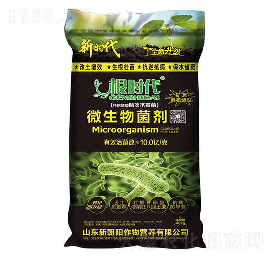 ���r(sh��)��΢�������-�r(sh��)��-�³��