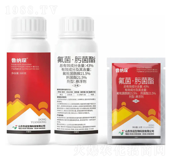 43%�������۾����Ҹ���-���{�-�|�h(yu��n)����