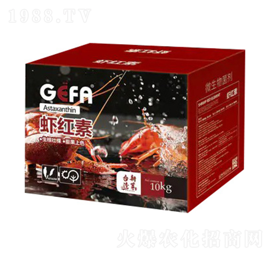 ΢�������-�r�t��-����