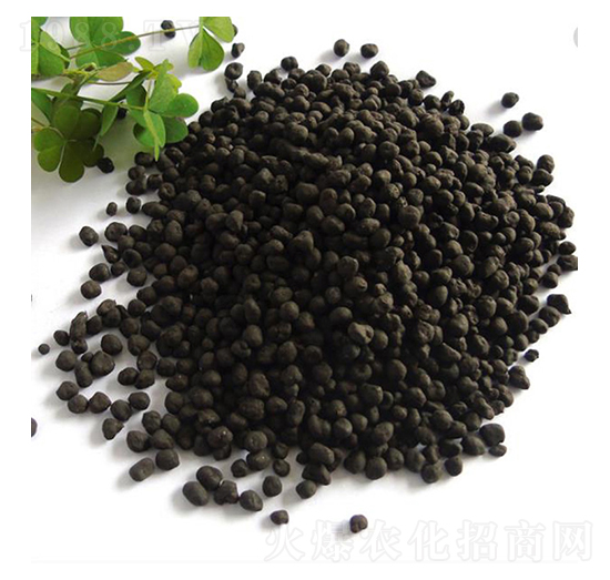 ����-ِ�Z�_