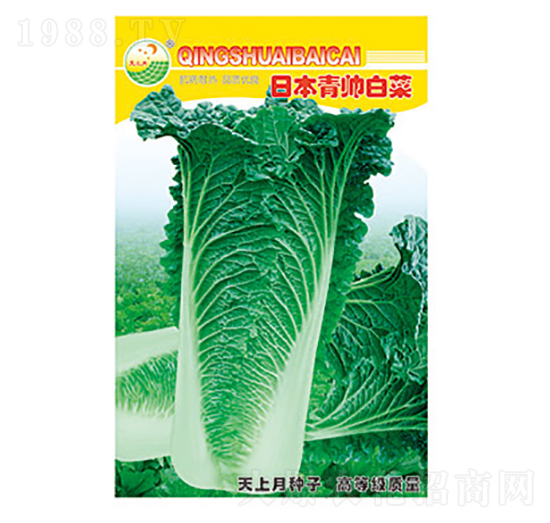 �ײ˷N��-�ձ������ײ�-̫��(l��)�N�I(y��)