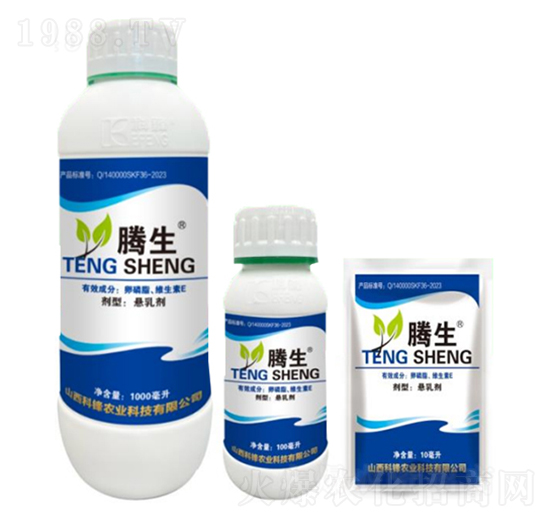 ����֬���S����E-�v��-�õ���