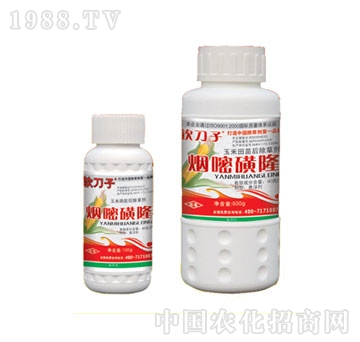 �G��-��ܛ���ӡ����׳��݄�