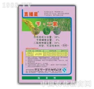 ��һ-38%�S���ȣ�ֱ���ǣ�WP