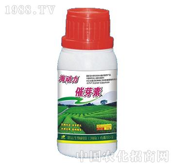 ��ѿ��-����(d��ng)��-˼�h(yu��n)��