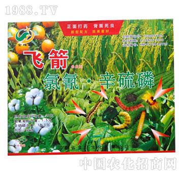 20%����������-�w��-�����rˎ