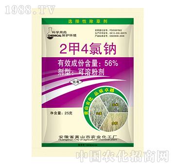 56%2��4���c-�{���r�I(y��)