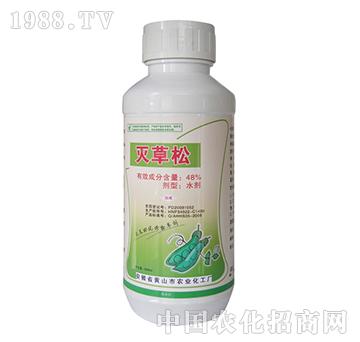 48%�����-�{���r�I(y��)