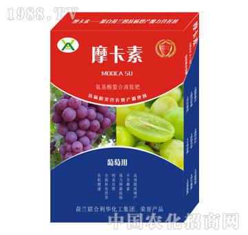 ���ь��ð���������Һ�ķ�-Ħ����-��о���H