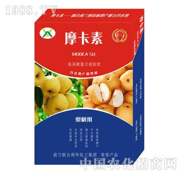 ��䌣�ð���������Һ�ķ�-Ħ����-��о���H