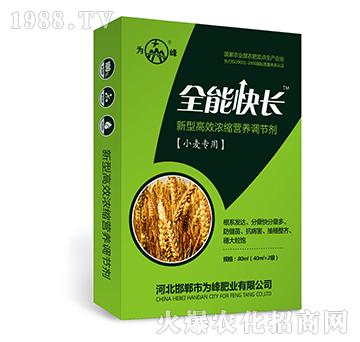 ȫ�ܿ��L��С�����ã�-