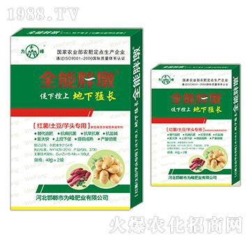 �t�������������^����-