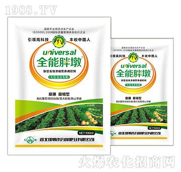 ��ë������-ȫ���ֶ�