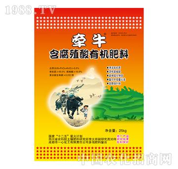 ����ֳ���ЙC(j��)����-��ţ