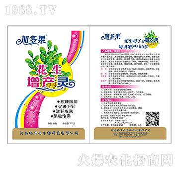 �������a(ch��n)�`-�Ӷ��-���l(w��i)ʿ