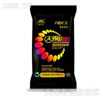 ���n�Z�C(j��)-̼�ܼ��Z�����ЙC(j��)��-����