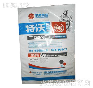 ���ָ�����16-5-30+TE