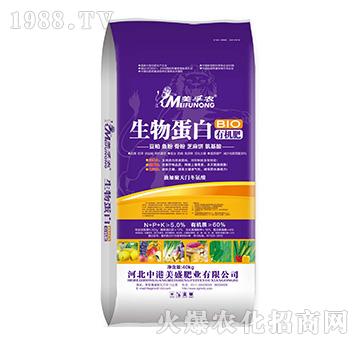 ���ﵰ���ЙC(j��)��