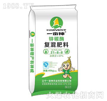 �\̼ø�ͻ��21-8-