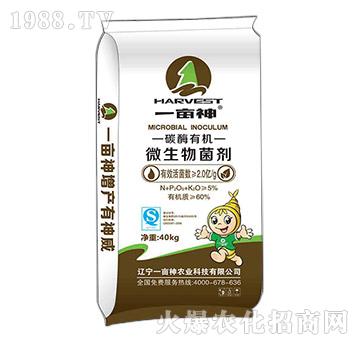 ̼ø�ЙC΢�������-һ