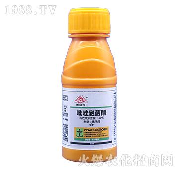 30%�����׾���-����