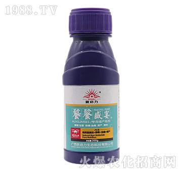 �������a(ch��n)����-����ʢ��-����