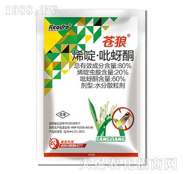 80%ϩड�����ͪ-�n��-���¿��r(n��ng)