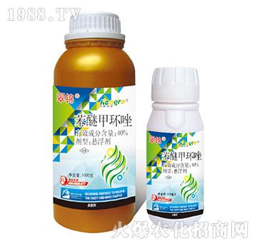 40%���Ѽ׭h(hu��n)��-���\-���¿��r