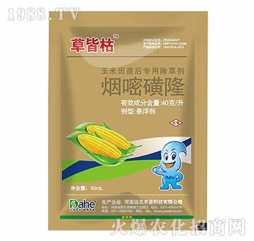 ���׻�¡-�ݽԿ�-�hҊ�r�I(y��)