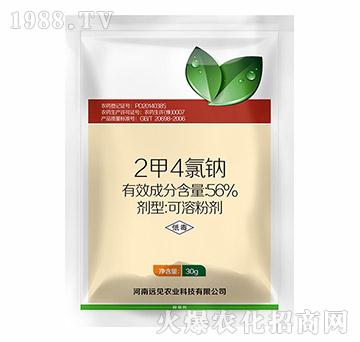 56%2��4���c-�hҊ