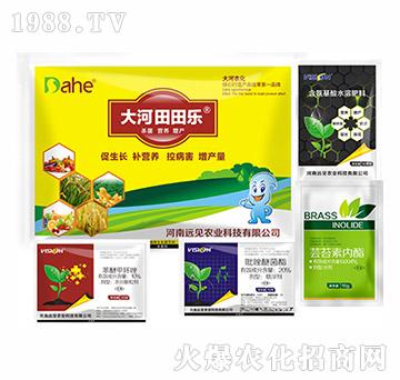 ���������a�ײ�-�hҊ�r�I(y��)