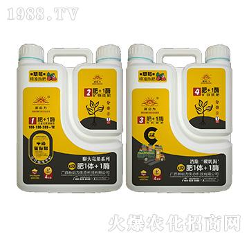 ��ݮ���ã����������-��1�w+1ø-����