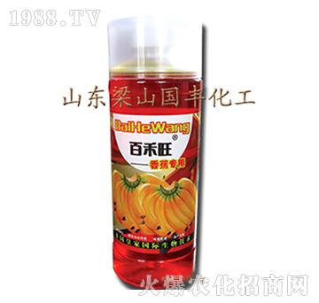 �㽶�����~���-��ɽ��