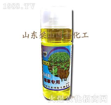 ���݌����~���-��ɽ��