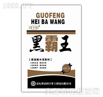 �ڰ���ˮ�ܷ�-��ɽ���S